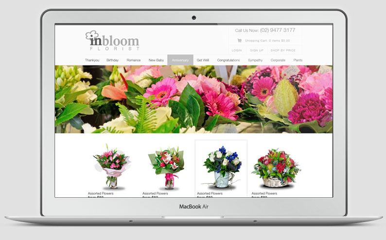 Ecommerce Websites